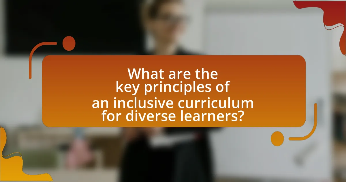 What are the key principles of an inclusive curriculum for diverse learners?